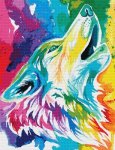 Colorful Wolf (image for) Colorful Wolf